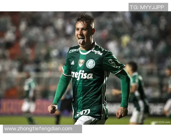 努涅斯在赛场上的崛起与挑战：一位新星的奋斗历程与未来展望