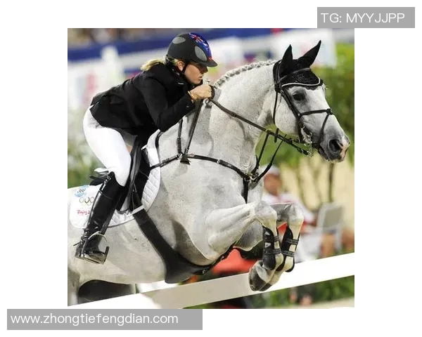 阿雅与布尔格2017年对决精彩回顾与赛后分析